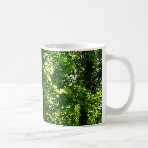 Bäume im Frühling. Bute Park, Cardiff. Wales Kaffeetasse