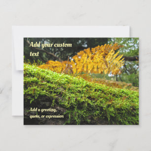 Bäume im Herbstmoos vergewaltigt - Personalisiert Postkarte