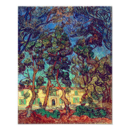 Bäume im Krankenhausgarten | Van Gogh | Fotodruck