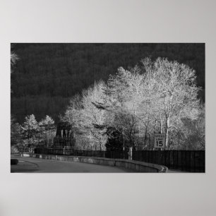 Bäume im Lehigh Gorge State Park Poster