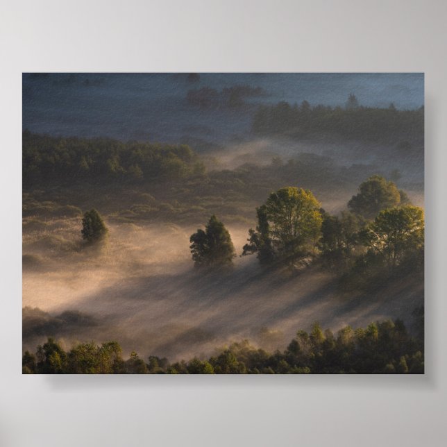 Bäume im Morgennebel Poster (Vorne)