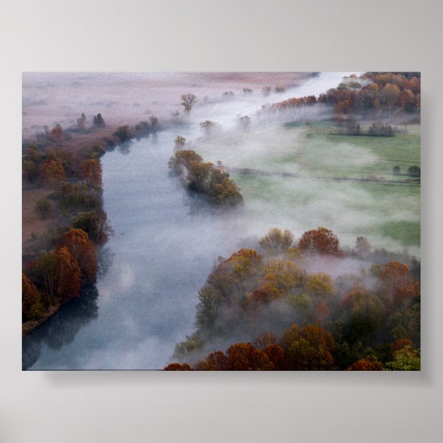Bäume im Morgennebel Poster (Vorne)