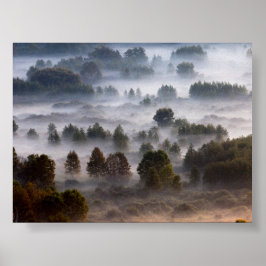 Bäume im Morgennebel Poster