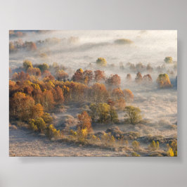 Bäume im Morgennebel Poster