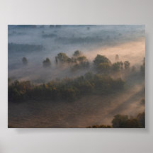 Bäume im Morgennebel