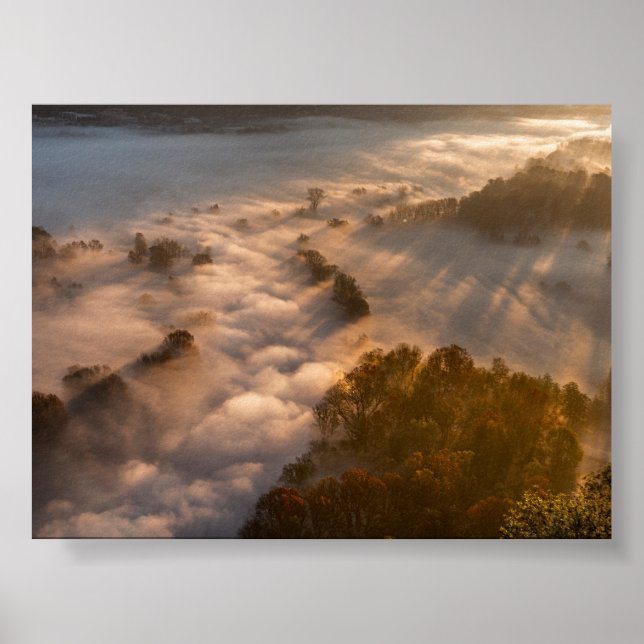 Bäume im Morgennebel Poster (Vorne)