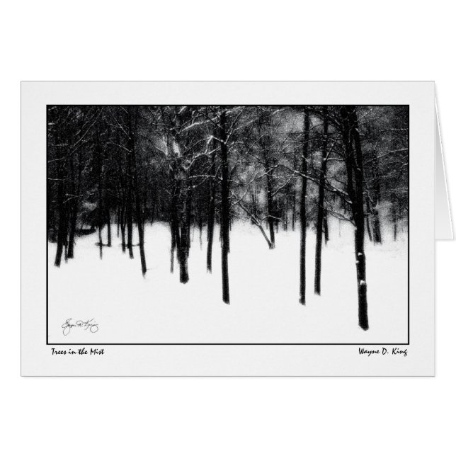 Bäume im Nebel (Vorderseite (Horizontal))