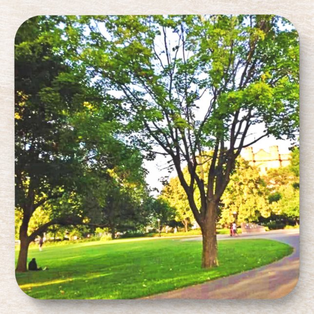 Bäume im Ottawa Park. Jetzt abschneiden kaufen Getränkeuntersetzer (Vorderseite)
