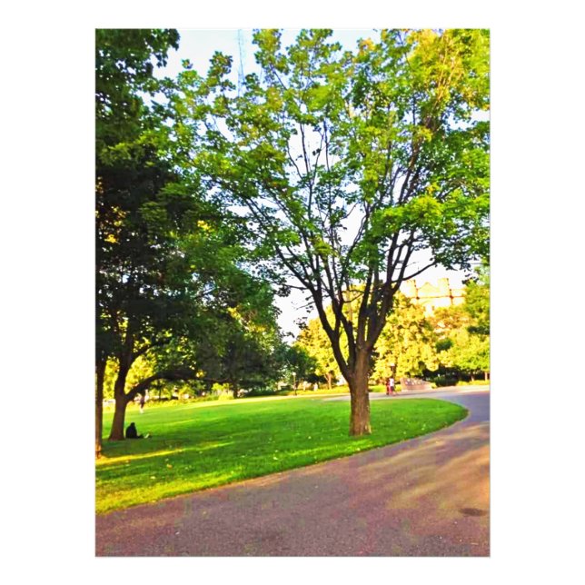 Bäume im Ottawa Park. Jetzt kaufen Fotodruck (Vorne)