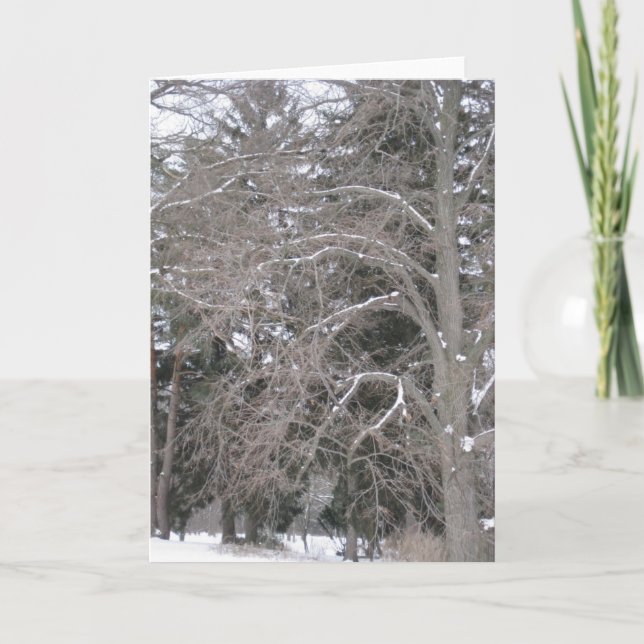 Bäume im Schnee III Karte (Vorderseite)