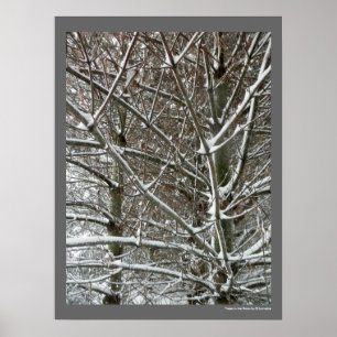 Bäume im Schnee-Winter-Foto Poster