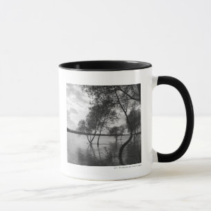 Bäume im See Tasse