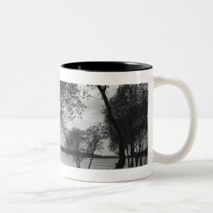 Bäume im See Zweifarbige Tasse