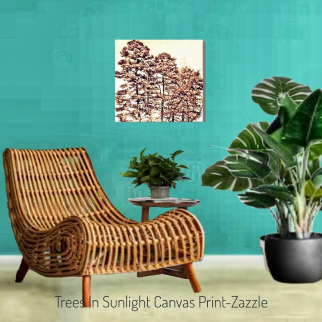 Bäume im Sonnenlicht Leinwanddruck (Von Creator hochgeladen)