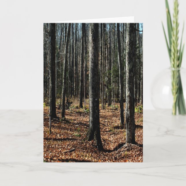 Bäume im Spätherbst: Digitaler Wandel des Waldes Karte (Vorderseite)