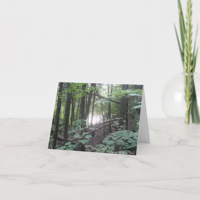 Bäume im Wald - Naturgrüßkarte Karte (Vorderseite)