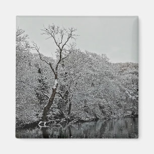 Bäume im Wasser Magnet