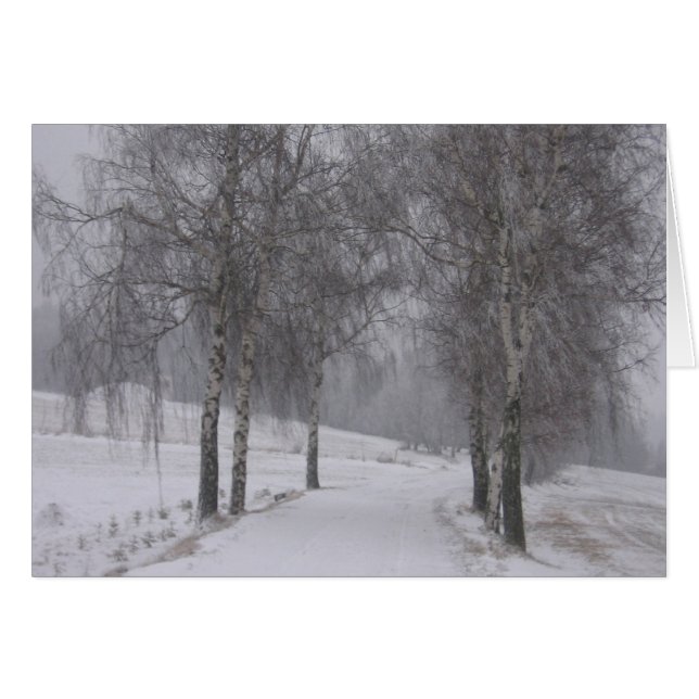 Bäume im Winter (Vorderseite (Horizontal))
