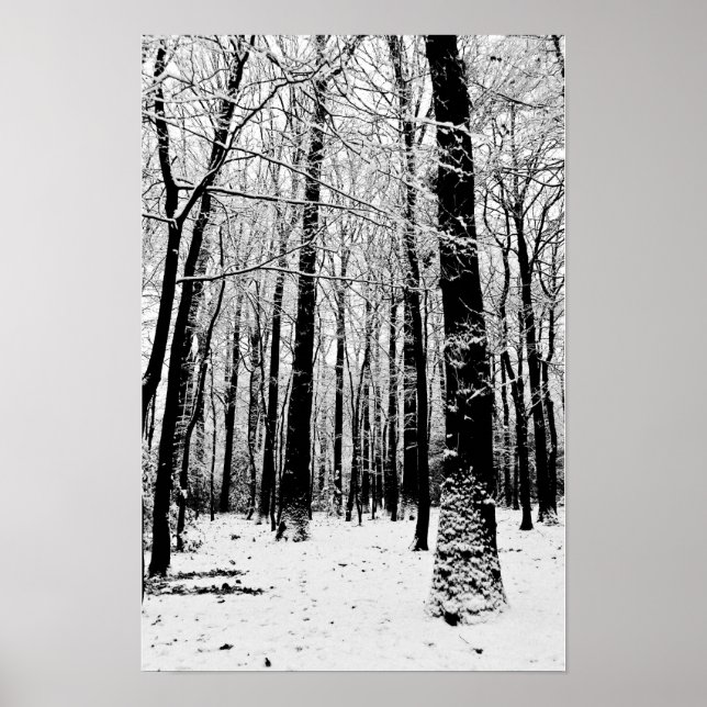 Bäume im Winterposter Poster (Vorne)