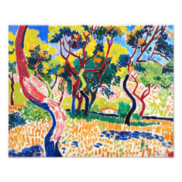 Bäume in Collioure | Andre Derain | Fotodruck