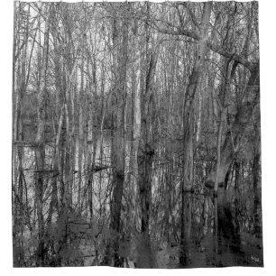 Bäume in einem schwarz-weißen Wald. Schönheit in Duschvorhang