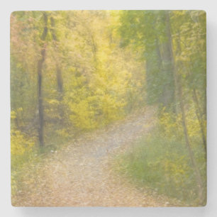 Bäume in Herbstfarben und ein mit Blättern bedeckt Steinuntersetzer