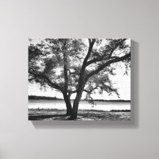 Bäume in schwarz-weiß gestrichene Canvas Print Leinwanddruck