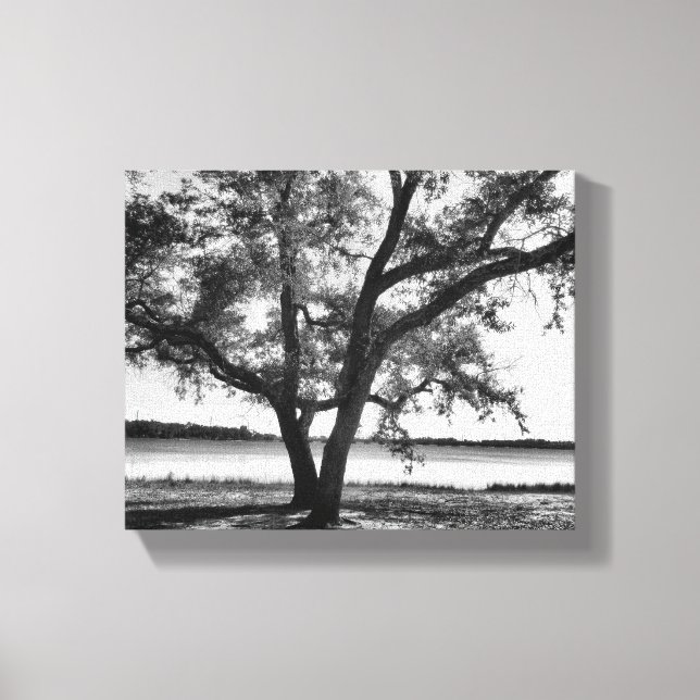 Bäume in schwarz-weiß gestrichene Canvas Print Leinwanddruck (Vorderseite)