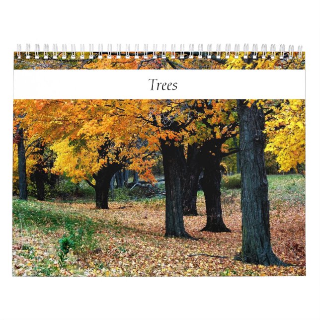 Bäume irgendein Jahr Kalender (Titelbild)