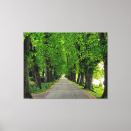 Bäume Leinwanddruck