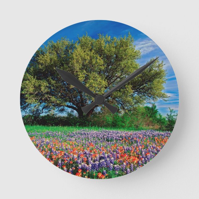 Bäume Live Oak unter TexasBluebonnets Runde Wanduhr (Vorderseite)