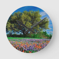Bäume Live Oak unter TexasBluebonnets