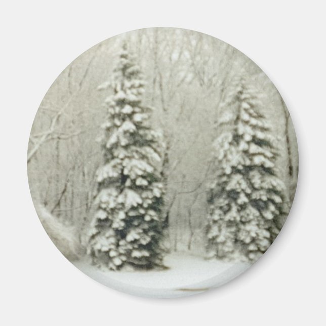 Bäume Magnet (Vorne)