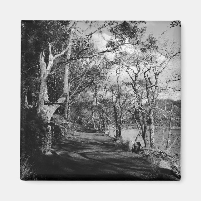 BÄUME MAGNET (Vorne)