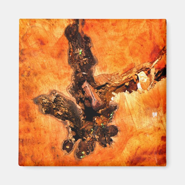 BÄUME MAGNET (Vorne)