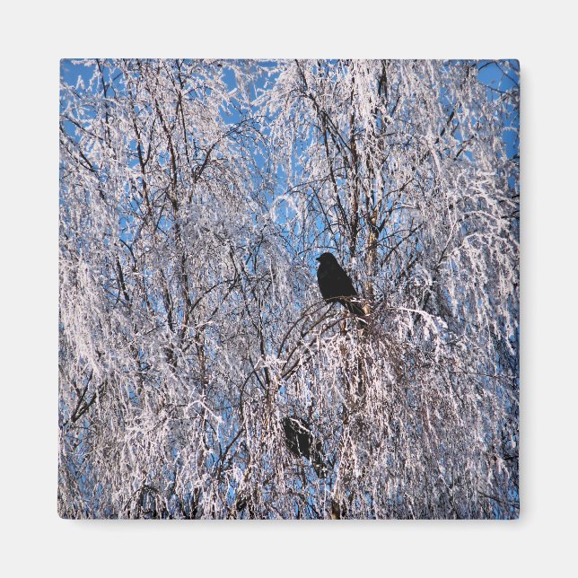 BÄUME MAGNET (Vorne)