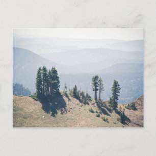 Bäume mit Blick Lassen Postkarte