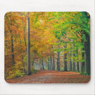 Bäume mit Herbstlaub in einem Wald Mousepad