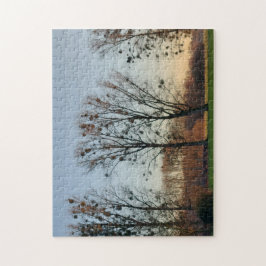 Bäume mit Mistletoe gegen einen klaren Himmel