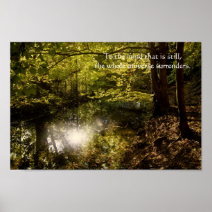 Bäume mit Sonne und weisen Lao Tzu Zitat Poster