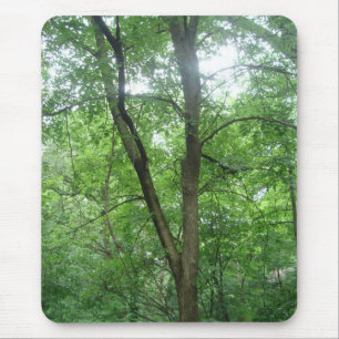 Bäume Mousepad