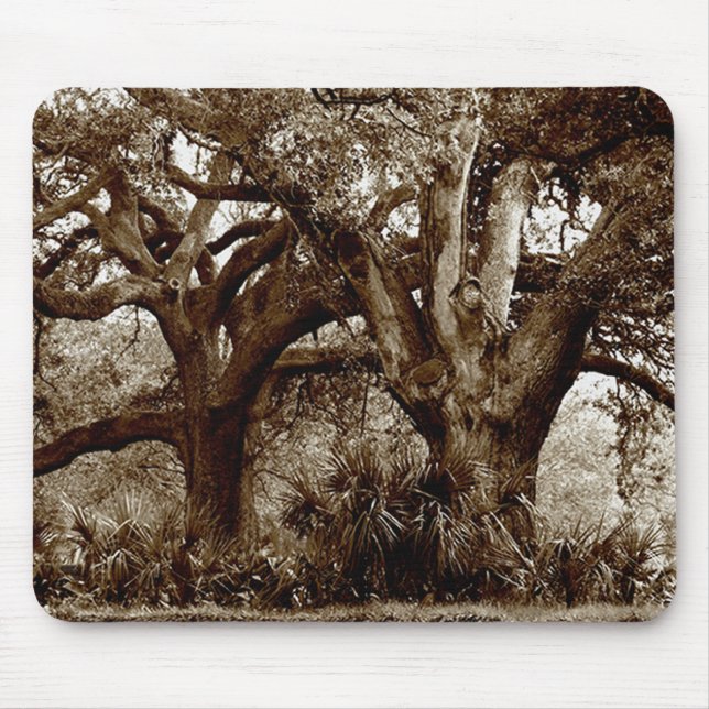 Bäume New Orleans Live Oak Mousepad (Vorne)