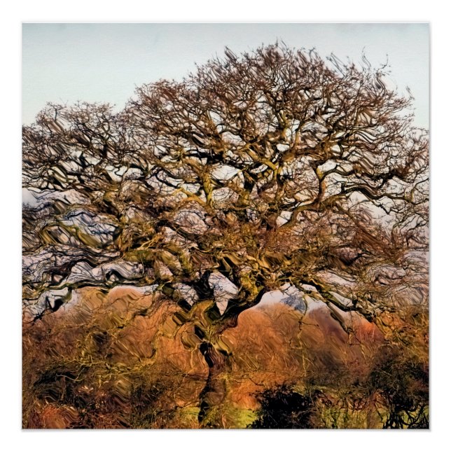 BÄUME POSTER (Vorderseite)