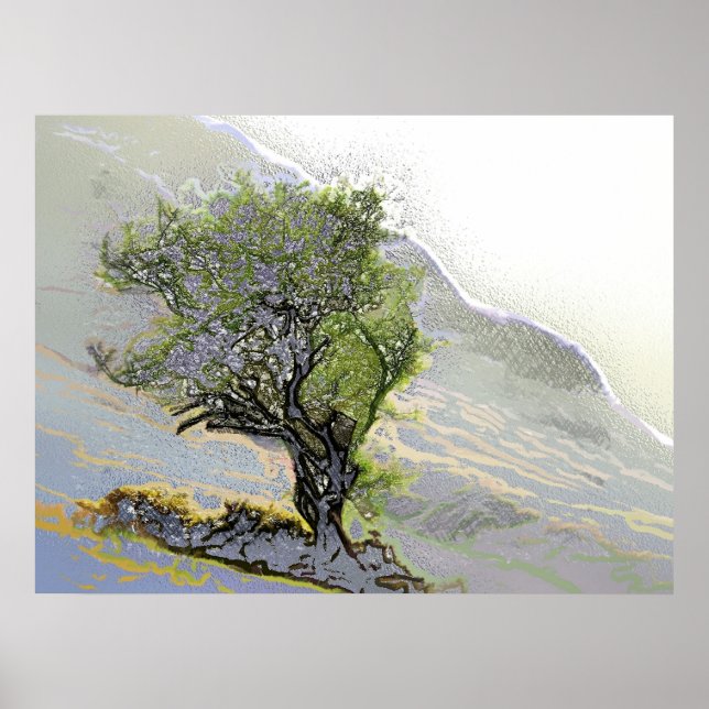 BÄUME POSTER (Vorne)