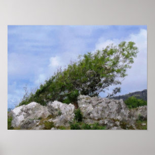 BÄUME POSTER