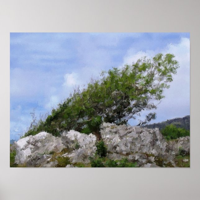 BÄUME POSTER (Vorne)