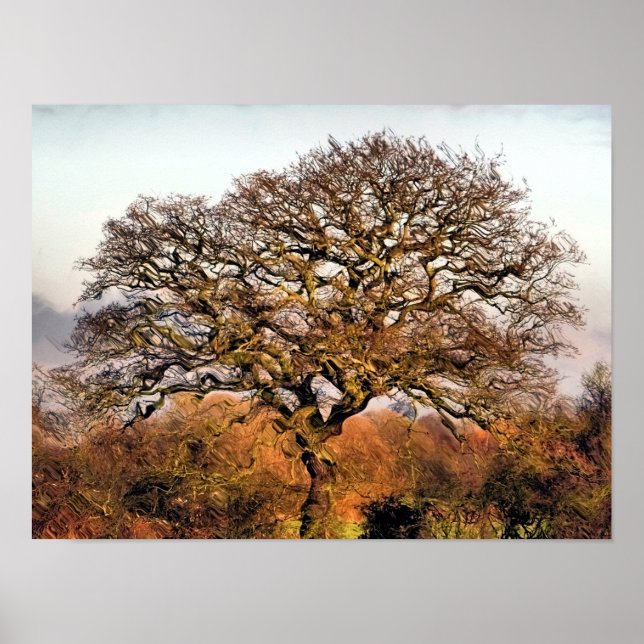 BÄUME POSTER (Vorne)