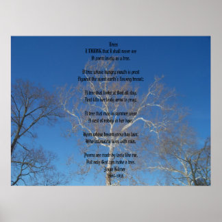 Bäume Poster