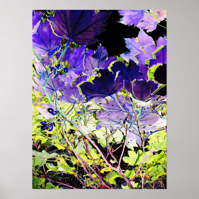 BÄUME POSTER (Vorne)