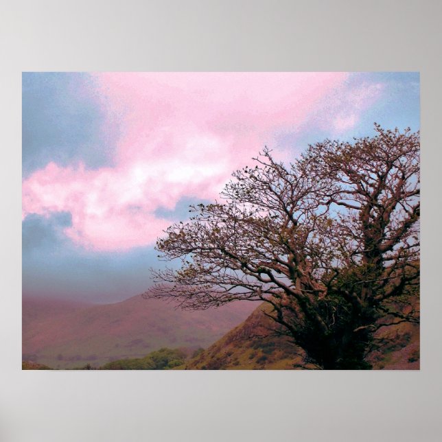 BÄUME POSTER (Vorne)